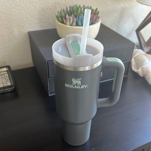 Stanley 40oz mug